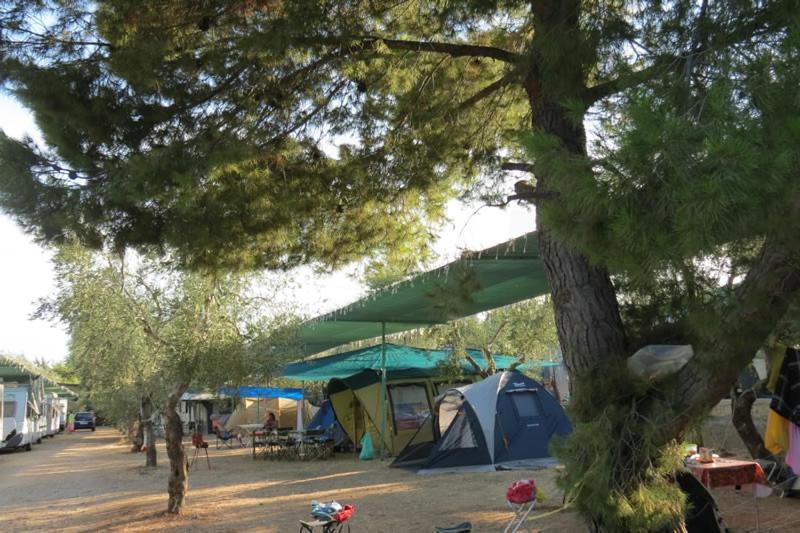 Camping Fontana Delle Rose Hotel Mattinata Exterior foto